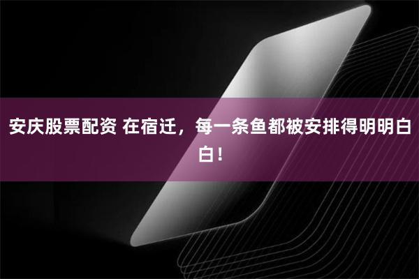 安庆股票配资 在宿迁，每一条鱼都被安排得明明白白！