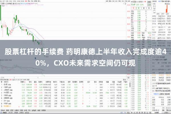 股票杠杆的手续费 药明康德上半年收入完成度逾40%，CXO未来需求空间仍可观