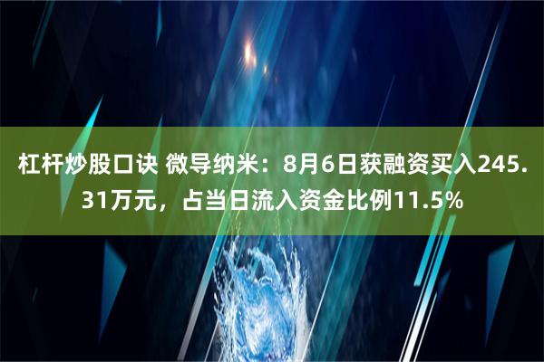 杠杆炒股口诀 微导纳米：8月6日获融资买入245.31万元，占当日流入资金比例11.5%