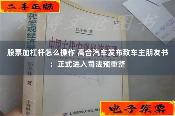 股票加杠杆怎么操作 高合汽车发布致车主朋友书：正式进入司法预重整