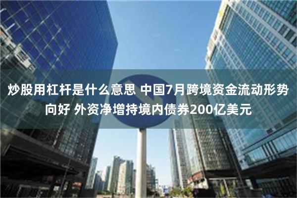 炒股用杠杆是什么意思 中国7月跨境资金流动形势向好 外资净增持境内债券200亿美元