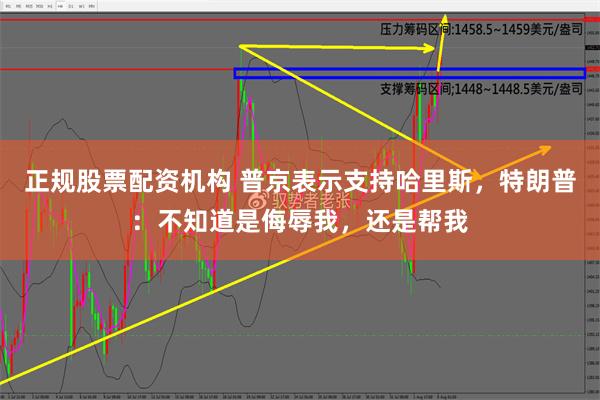 正规股票配资机构 普京表示支持哈里斯，特朗普：不知道是侮辱我，还是帮我