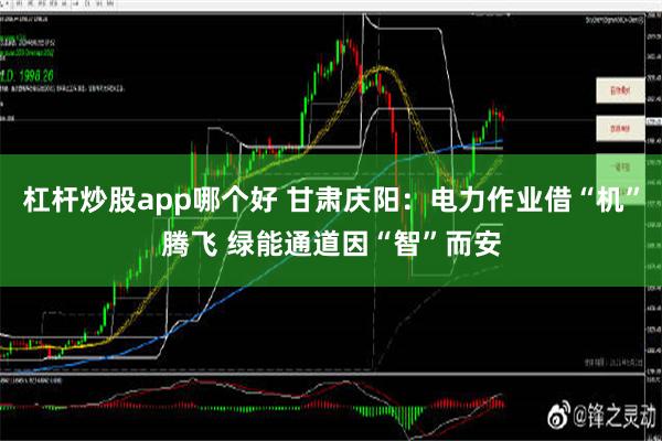 杠杆炒股app哪个好 甘肃庆阳：电力作业借“机”腾飞 绿能通道因“智”而安