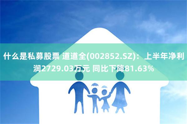 什么是私募股票 道道全(002852.SZ)：上半年净利润2729.03万元 同比下降81.63%