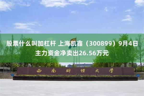 股票什么叫加杠杆 上海凯鑫（300899）9月4日主力资金净卖出26.56万元