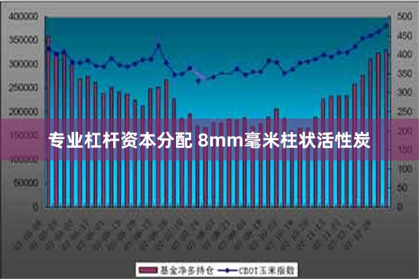 专业杠杆资本分配 8mm毫米柱状活性炭