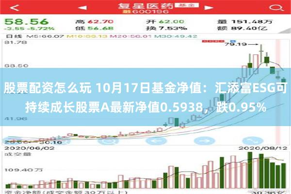 股票配资怎么玩 10月17日基金净值：汇添富ESG可持续成长股票A最新净值0.5938，跌0.95%