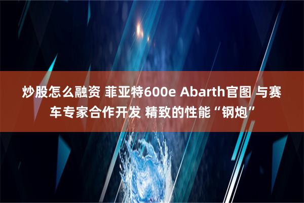 炒股怎么融资 菲亚特600e Abarth官图 与赛车专家合作开发 精致的性能“钢炮”