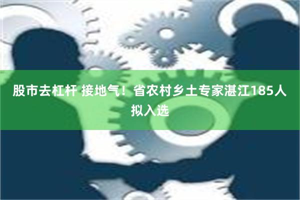 股市去杠杆 接地气！省农村乡土专家湛江185人拟入选