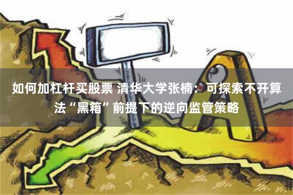 如何加杠杆买股票 清华大学张楠：可探索不开算法“黑箱”前提下的逆向监管策略