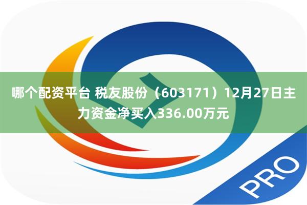 哪个配资平台 税友股份（603171）12月27日主力资金净买入336.00万元