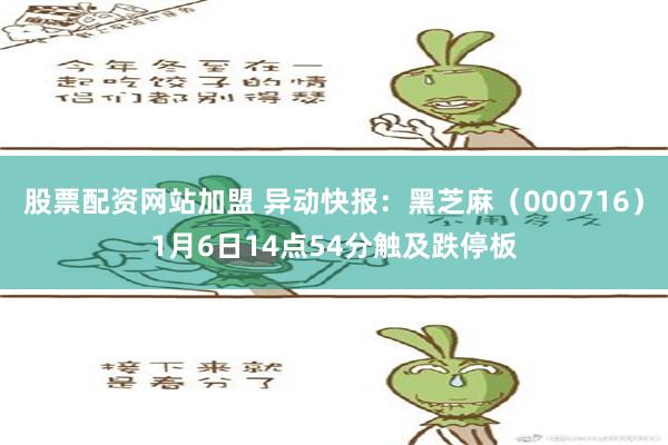 股票配资网站加盟 异动快报：黑芝麻（000716）1月6日14点54分触及跌停板